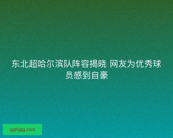 东北超哈尔滨队阵容揭晓 网友为优秀球员感到自豪